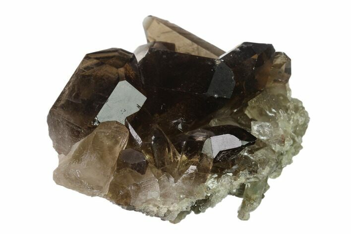 Dark Smoky Quartz Crystal Cluster - Brazil #137822